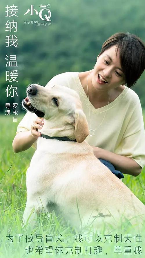 制作日本大阪體育大學毕业证